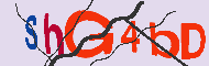 Captcha認証コード